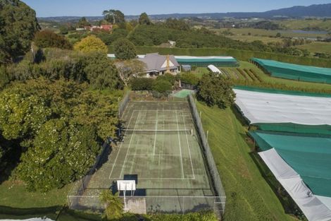 Photo of property in 261 Pahoia Road, Whakamarama, Tauranga, 3172