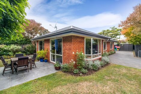 Photo of property in 3 Nina Lane, Somerfield, Christchurch, 8024
