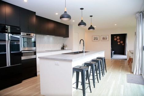 Photo of property in 329 Island Road, Kaiapoi, 7630