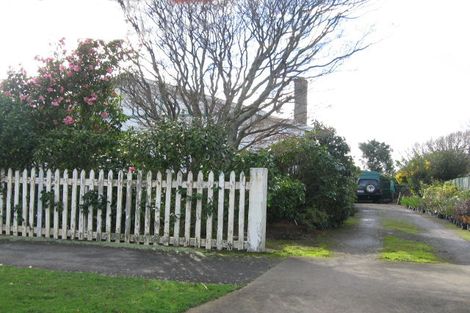 Photo of property in 119 Vogel Street, Roslyn, Palmerston North, 4414