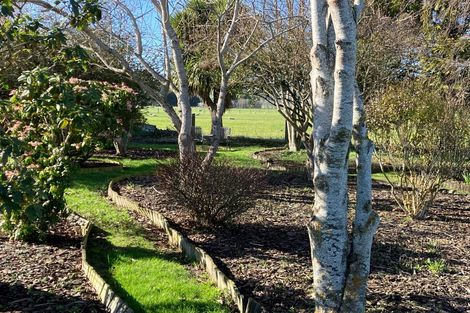 Photo of property in 43 Chaucer Street, Milton, 9220