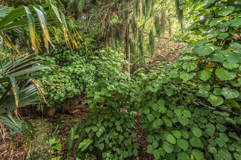 Photo of property in 19 Mathieson Street, Whanganui, 4500