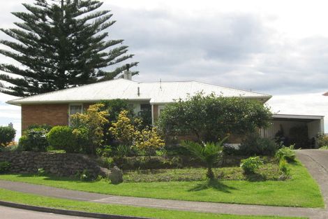 Photo of property in 45 Tutauanui Crescent, Maungatapu, Tauranga, 3112