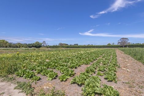 Photo of property in 627 Pound Road, Yaldhurst, Christchurch, 7676