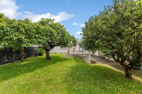 Photo of property in 63 Brightwater Terrace, Terrace End, Palmerston North, 4410