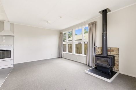 Photo of property in 57 Hingaia Street, Turangi, 3334