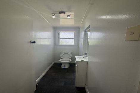 Photo of property in 57 Carey Street, Maeroa, Hamilton, 3200