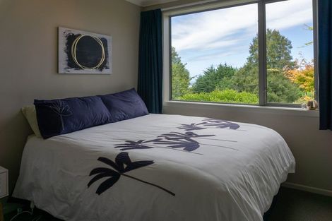 Photo of property in 18b Lawson Street, Roslyn, Dunedin, 9011