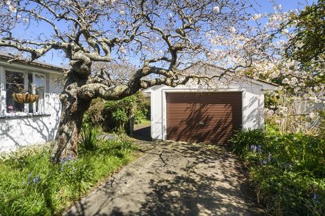 Photo of property in 1 Antrim Place, Hokowhitu, Palmerston North, 4410