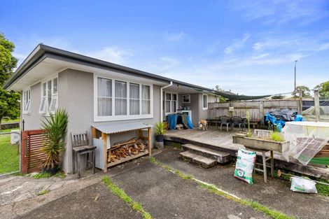 Photo of property in 18 Fitzherbert Street, Putaruru, 3411