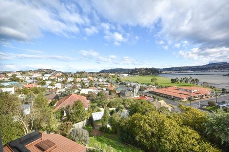 Photo of property in 36 Heath Street, Andersons Bay, Dunedin, 9013