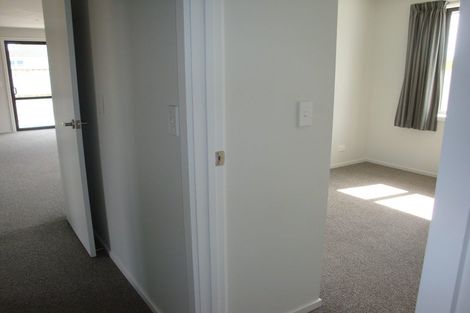 Photo of property in 32a Willow Street, Hampstead, Ashburton, 7700