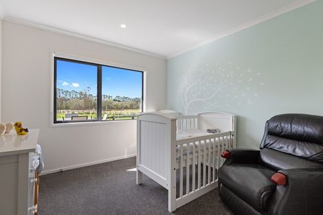 Photo of property in 115a Travers Road, Te Kauwhata, 3782