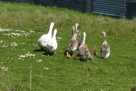 Photo of property in 73 Papatotara Road, Tuatapere, 9620