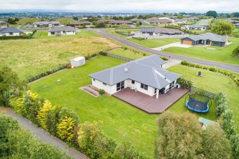 Photo of property in 12 Wapiti Avenue, Feilding, 4775