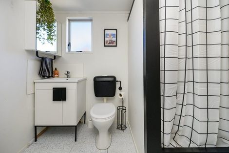 Photo of property in 101a Limbrick Street, Terrace End, Palmerston North, 4410