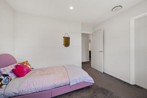 Photo of property in 22 Brooke Place, Alexandra, 9320
