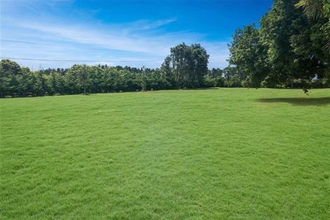 Photo of property in 233 Laing Road, Karaka, Papakura, 2580