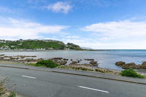 Photo of property in 100 Owhiro Bay Parade, Owhiro Bay, Wellington, 6023