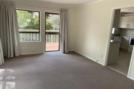 Photo of property in 23 John Downs Drive, Browns Bay, Auckland, 0630
