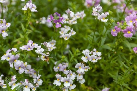 Photo of property in 8 River Glade, Waikanae, 5036