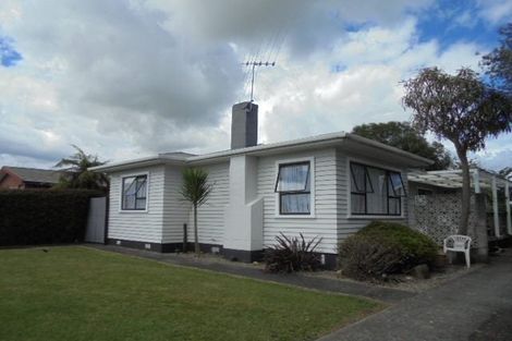 Photo of property in 132 Liverpool Street, Levin, 5510