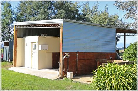 Photo of property in 286 Wall Road, Foxton, 4891