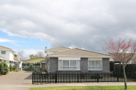 Photo of property in 25b Eason Street, Victoria, Rotorua, 3010