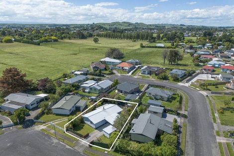 Photo of property in 20 Holt Place, Waipukurau, 4200