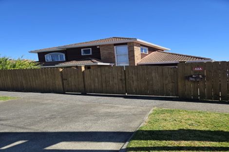 Photo of property in 42a Denbigh Avenue, Mount Roskill, Auckland, 1041