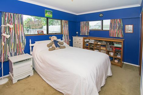 Photo of property in 42 Oak Street, Masterton, 5810