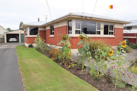 Photo of property in 8 Carlyle Road, Mosgiel, 9024