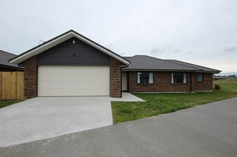 Photo of property in 11 Oolong Court, Huntington, Hamilton, 3210