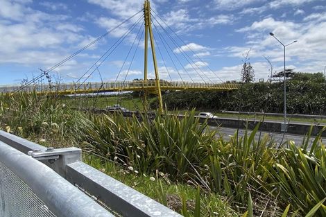Photo of property in 13 Glenae Lane, Hobsonville, Auckland, 0618