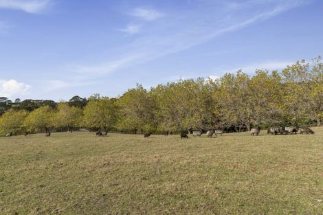 Photo of property in 115 Glenmore Road, Coatesville, Albany, 0793