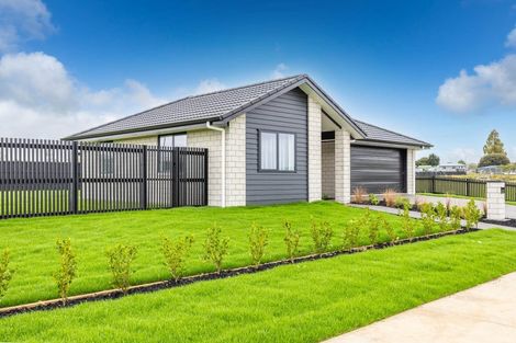 Photo of property in 6 Hoki Avenue, Morrinsville, 3300