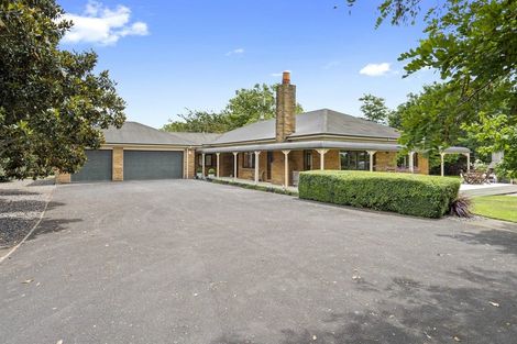 Photo of property in 39 Skeet Road, Cambridge, 3495