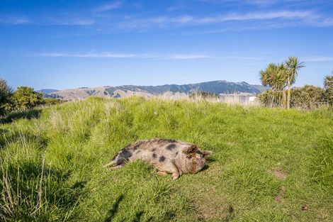 Photo of property in 21 Sandown Road, Te Horo Beach, Otaki, 5581