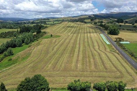Photo of property in 211 Waitetuna Valley Road, Waitetuna, Raglan, 3295