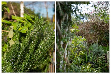 Photo of property in 113 Grafton Road, Thames, 3500