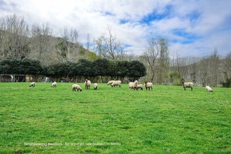 Photo of property in 232 Brownlie Road, Frasertown, Wairoa, 4195