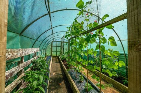 Photo of property in 779 Makuri Road, Huiroa, Stratford, 4392