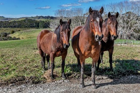 Photo of property in 111 Petley Road, Paparoa, 0571