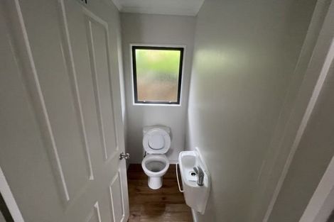 Photo of property in 110a Victoria Street West, Pukekohe, 2120