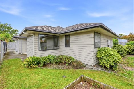 Photo of property in 46 Ward Street, Palmerston North, 4410