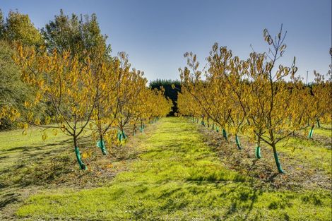 Photo of property in 83 Mount Erin Road, Pukahu, Hastings, 4172