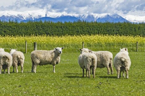 Photo of property in 1797 Clintons Road, Darfield, 7571