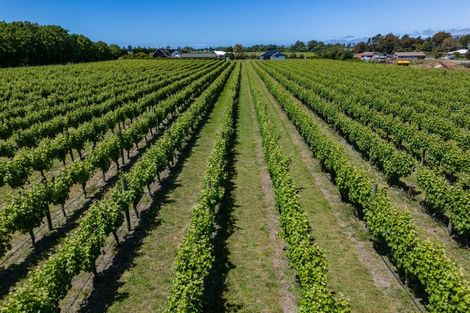 Photo of property in 5 Brook Street, Renwick, 7204