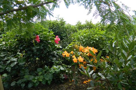 Photo of property in 10 Awhitu Road, Kerikeri, 0230