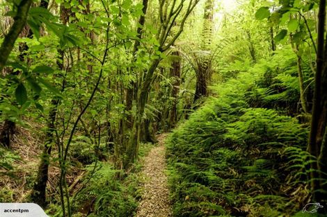 Photo of property in 55b Sagewood Road, Whakamarama, Tauranga, 3180